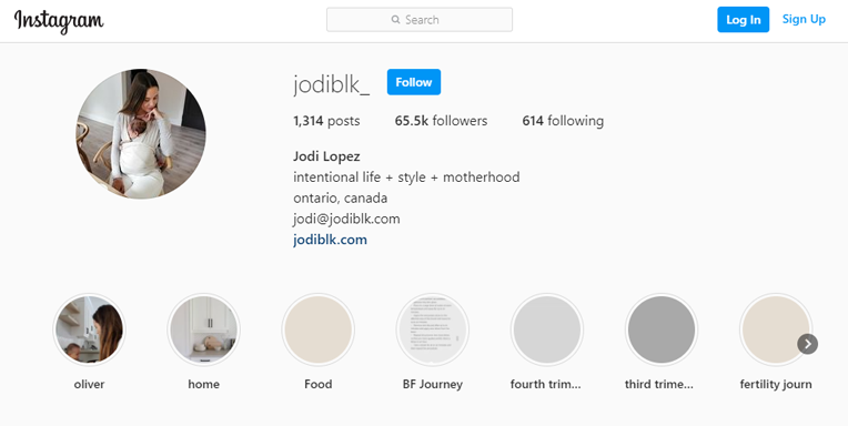 Influencer profile on instagram