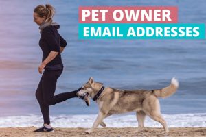 Get a Pet owner email list with specific targeting. Free sample data from cat, dog, Labrador, and other pet kind owners.