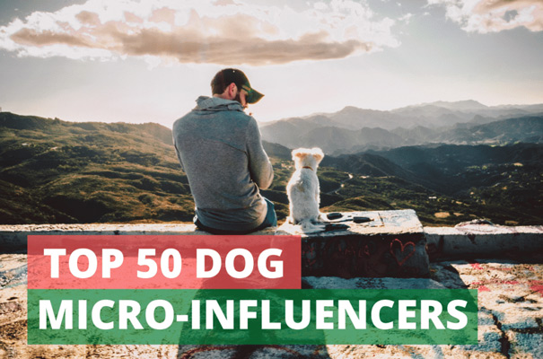 Are you looking for a free list of dog-micro influencers? You should check our list of top micro-influencers in the dog niche.
