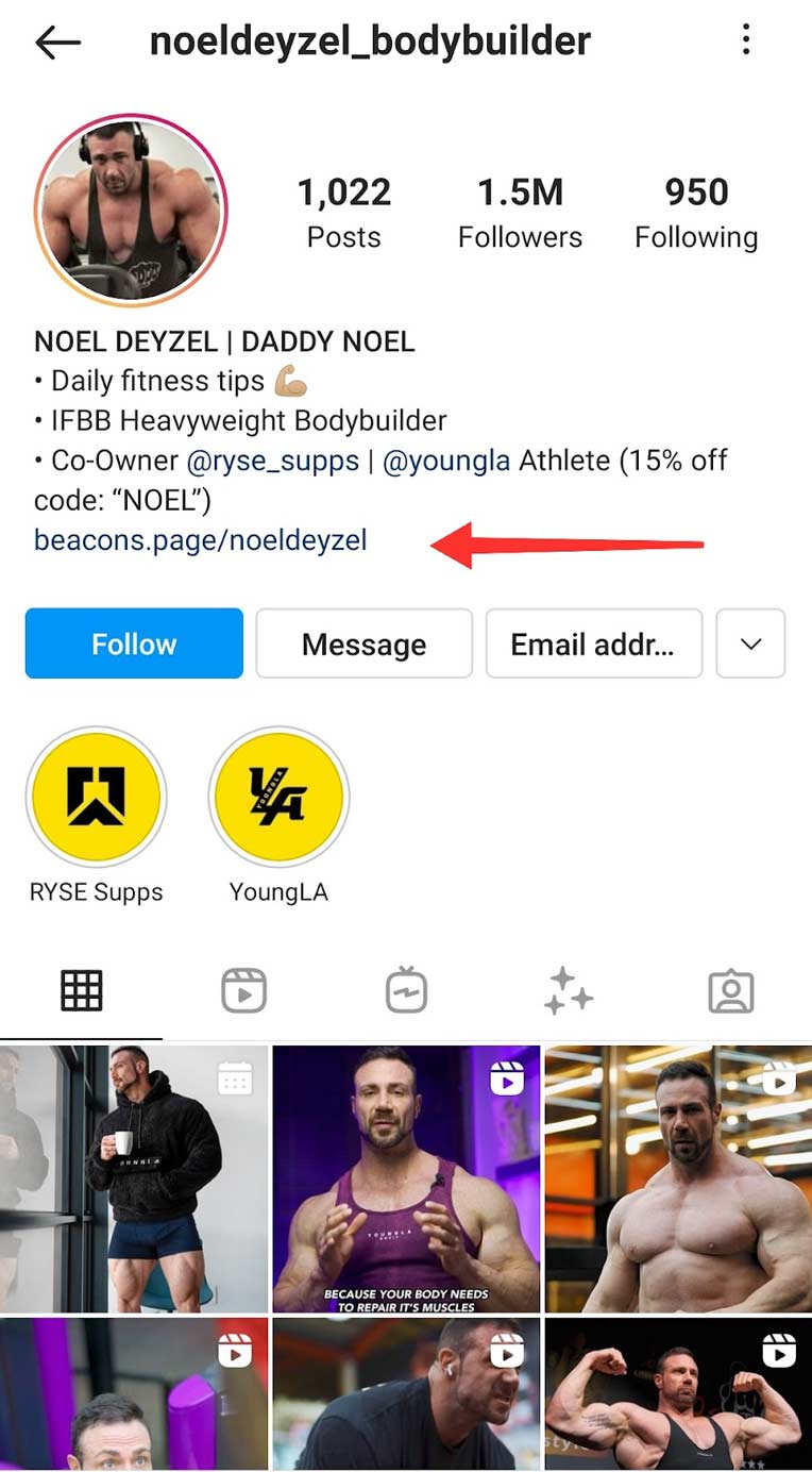 Link-in-bio in Instagram bio