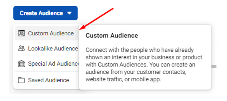 Custom audiences in Facebook Ads for targeting business owners.