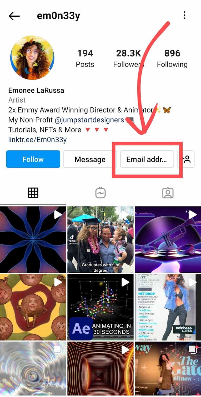 n image highlighting the email button on an Instagram profile
