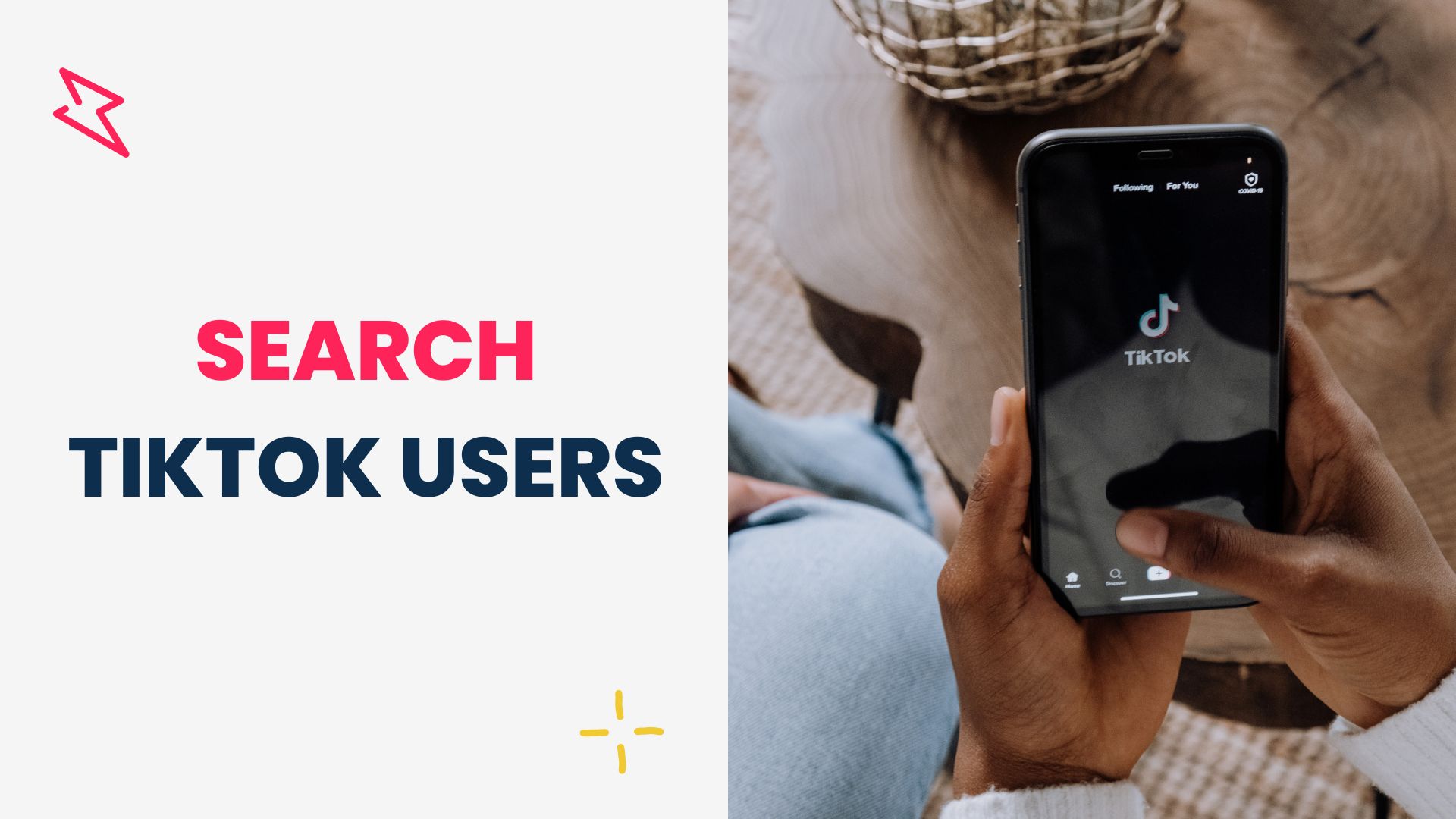 Search TikTok users tool
